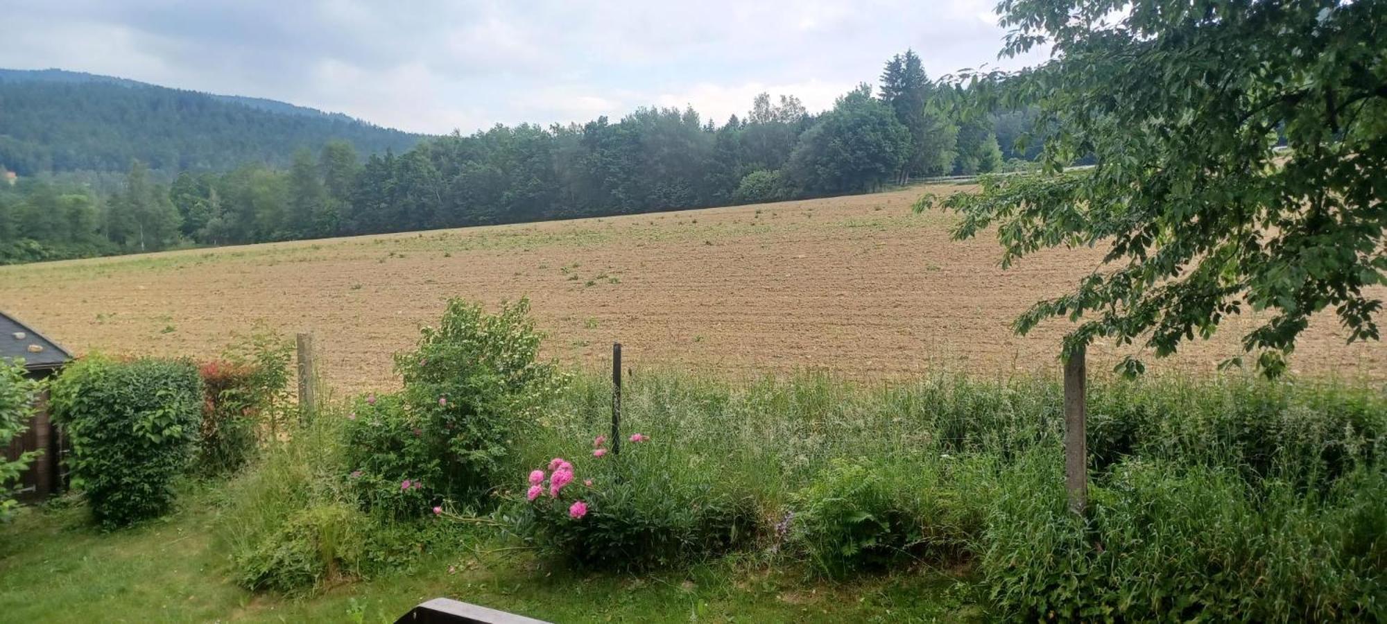 Ferienwohnung Rihm Arrach Kültér fotó